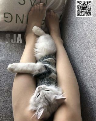 婷婷第四色_国产剧高清视频观看