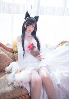 综合精品视频在线观看_1080P高清完整版播放